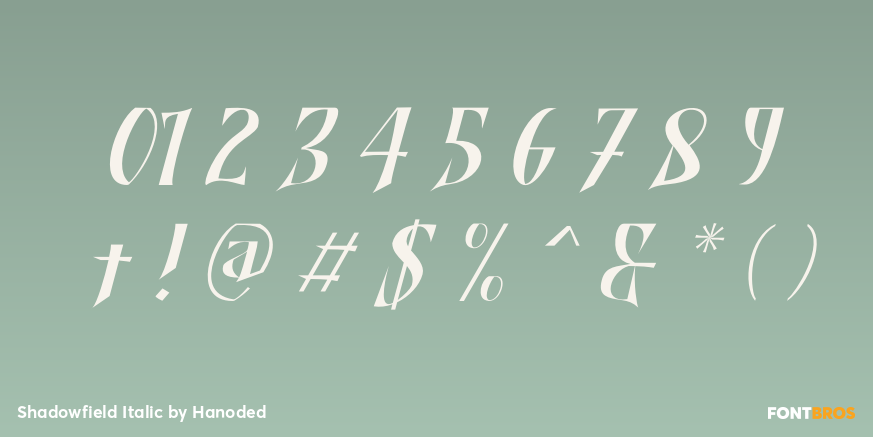 Shadowfield Italic Font Poster #1