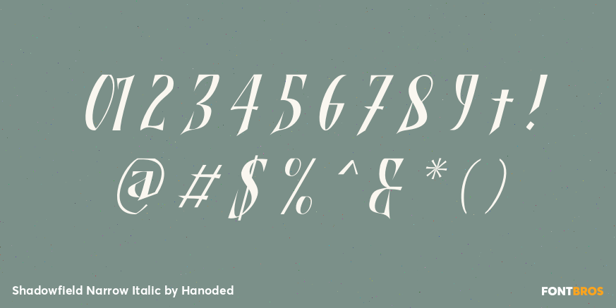 Shadowfield Narrow Italic Font Poster #1