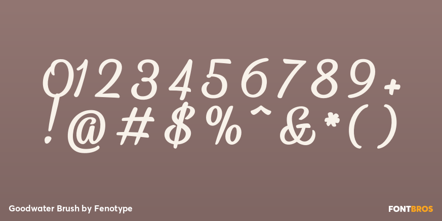 Goodwater Brush Font Poster #1