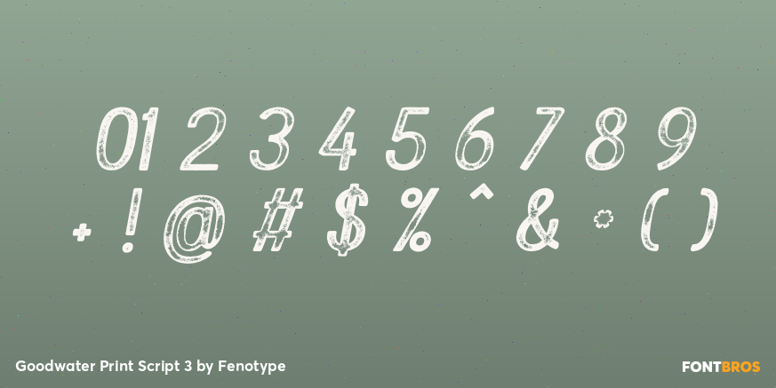Goodwater Print Script 3 Font Poster #4