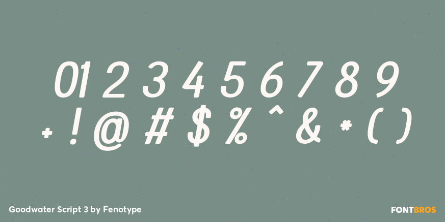 Goodwater Script 3 Font Poster #4