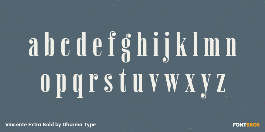 Vincente Extra Bold Font Poster #3