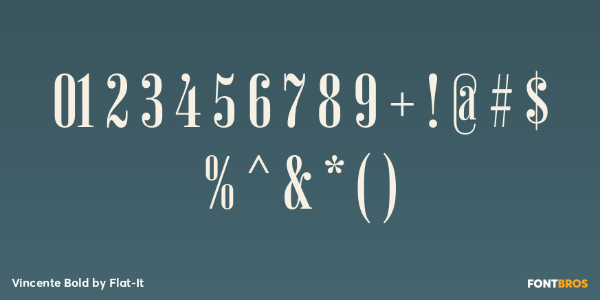 Vincente Bold Font Poster #1