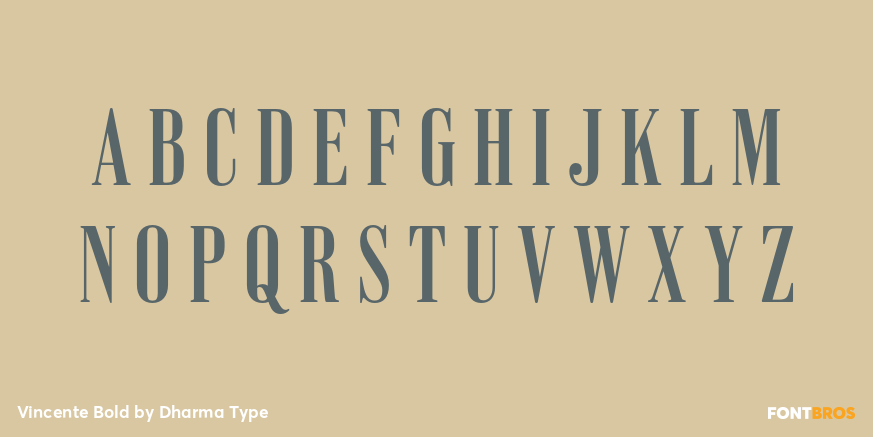 Vincente Bold Font Poster #2