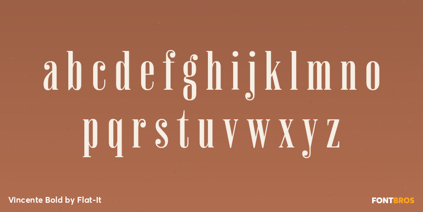 Vincente Bold Font Poster #3