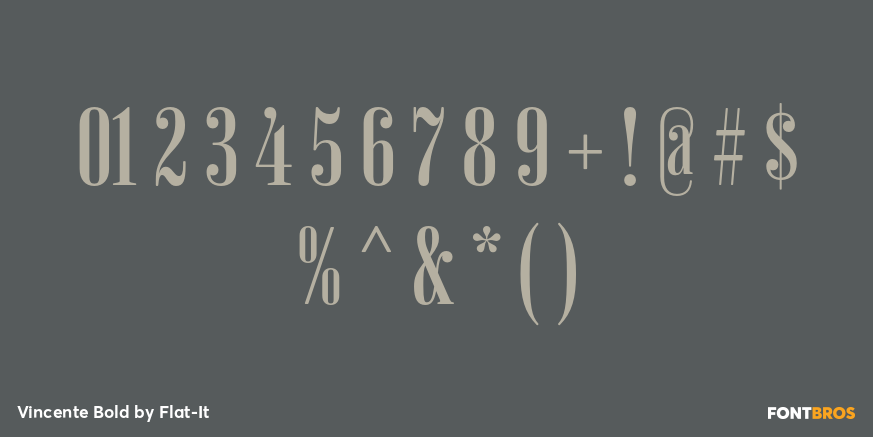 Vincente Bold Font Poster #4