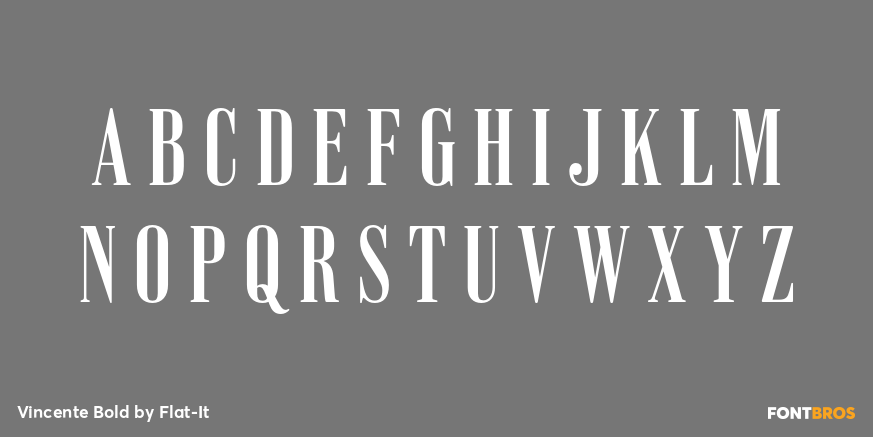 Vincente Bold Font Poster #1