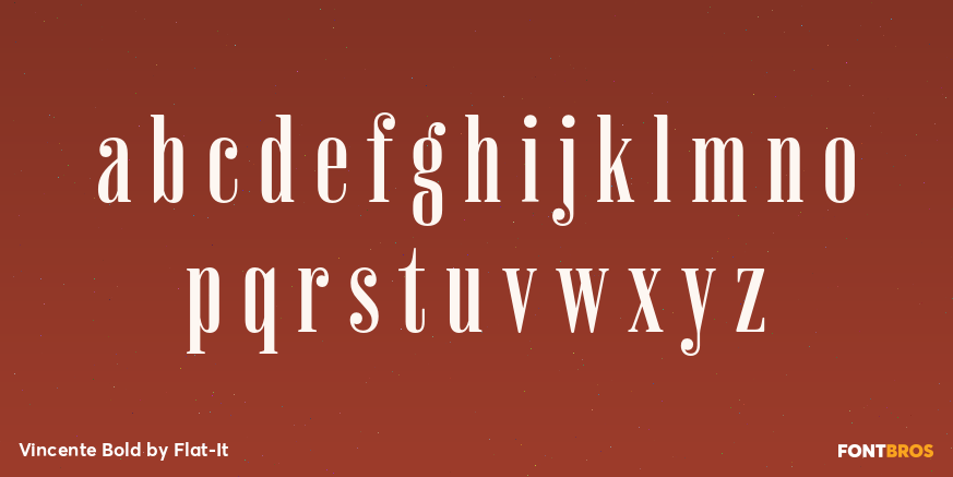 Vincente Bold Font Poster #1