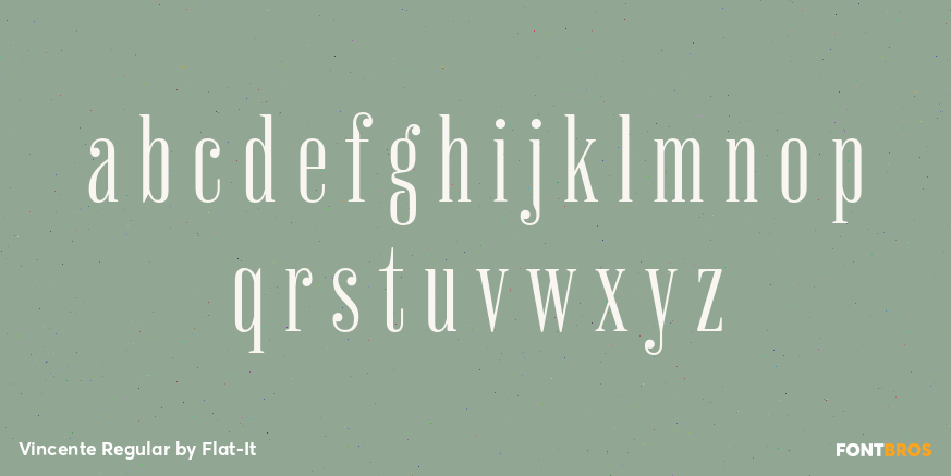 Vincente Regular Font Poster #3