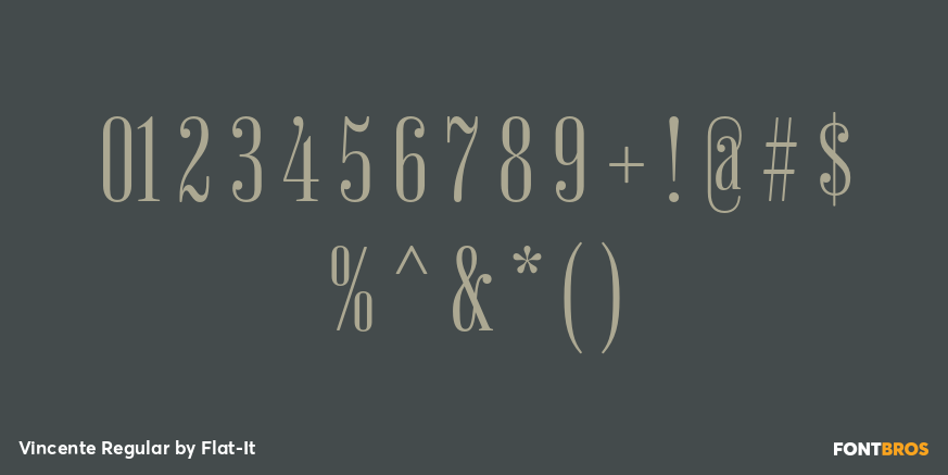Vincente Regular Font Poster #4