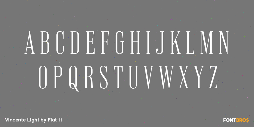 Vincente Light Font Poster #2