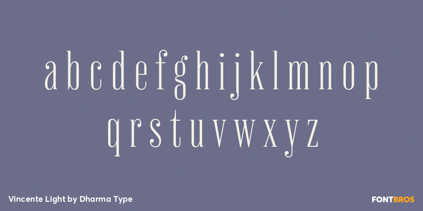 Vincente Light Font Poster #3