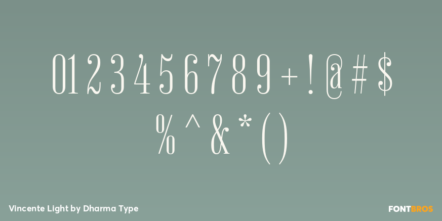 Vincente Light Font Poster #4
