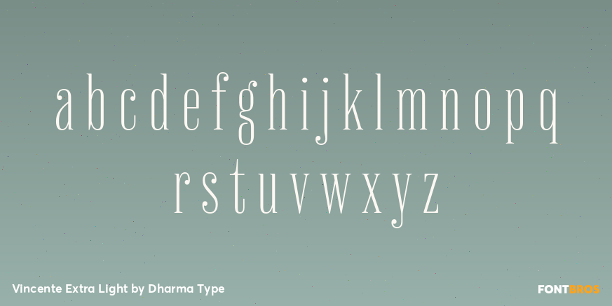 Vincente Extra Light Font Poster #3