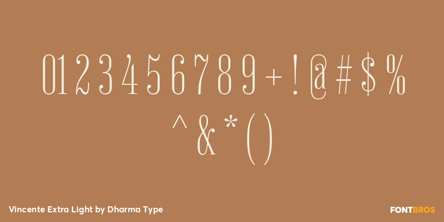 Vincente Extra Light Font Poster #4