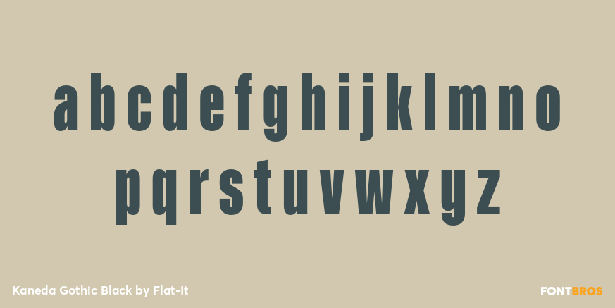Kaneda Gothic Black Font Poster #1