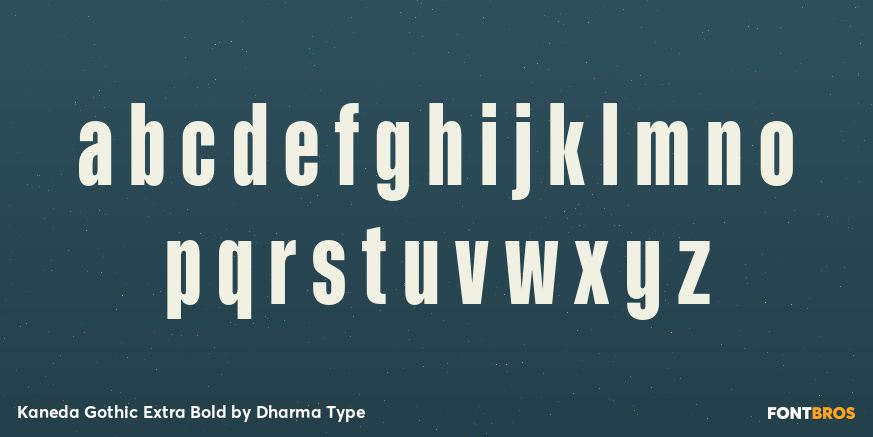 Kaneda Gothic Extra Bold Font Poster #3