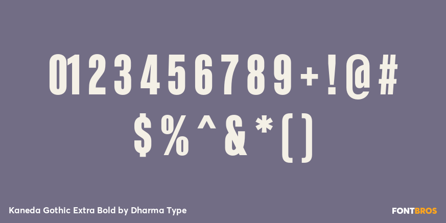 Kaneda Gothic Extra Bold Font Poster #4