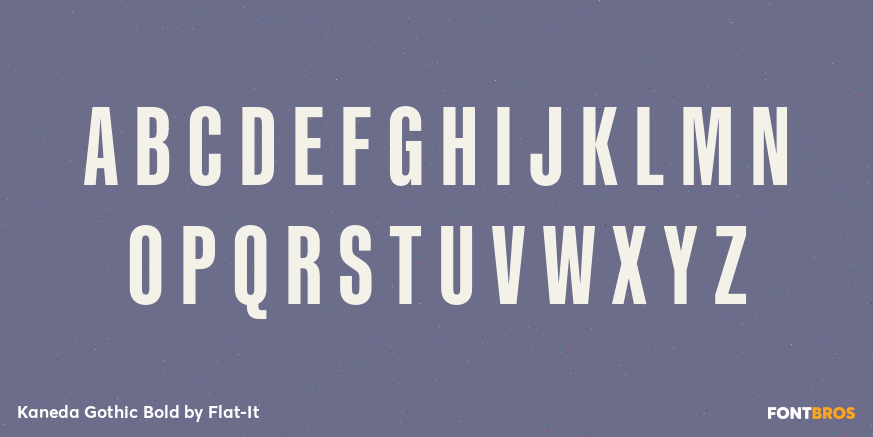 Kaneda Gothic Bold Font Poster #1