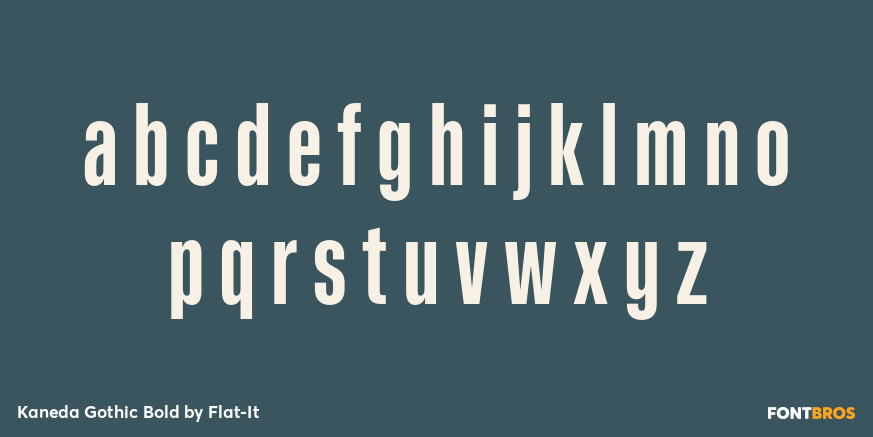 Kaneda Gothic Bold Font Poster #1