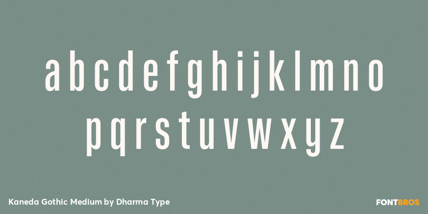 Kaneda Gothic Medium Font Poster #3