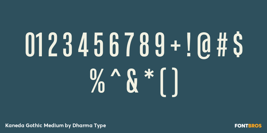 Kaneda Gothic Medium Font Poster #4