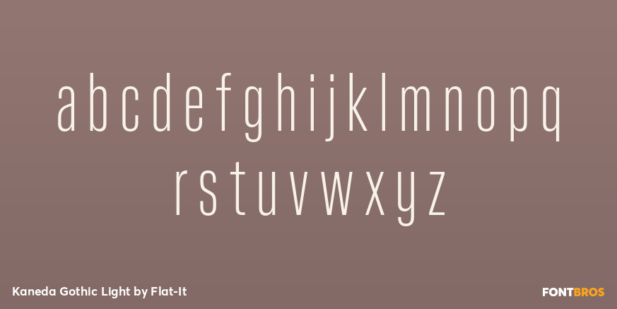 Kaneda Gothic Light Font Poster #3