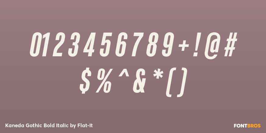 Kaneda Gothic Bold Italic Font Poster #1