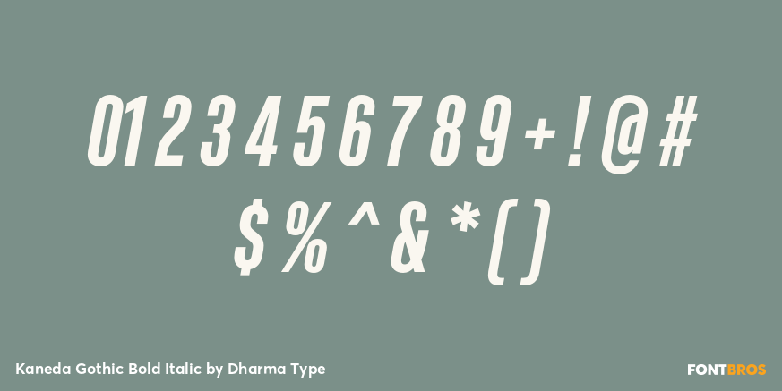Kaneda Gothic Bold Italic Font Poster #4