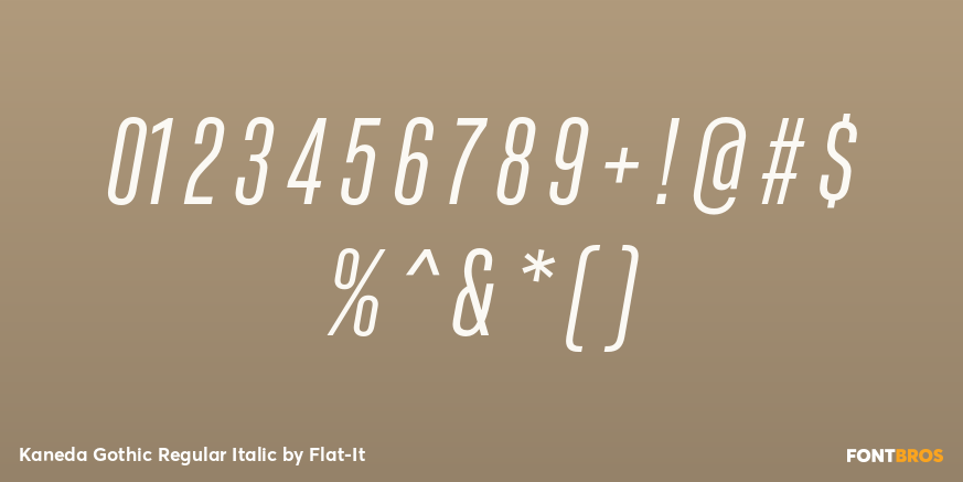 Kaneda Gothic Regular Italic Font Poster #4