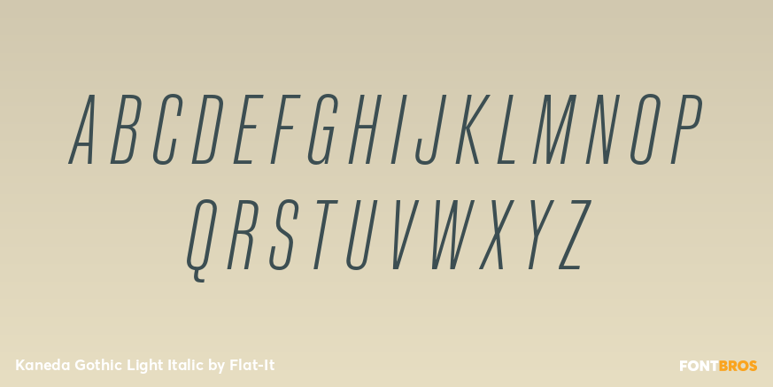 Kaneda Gothic Light Italic Font Poster #1