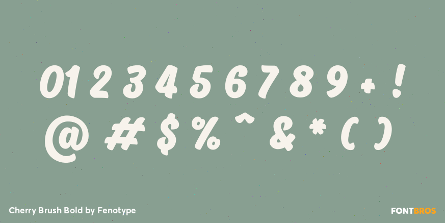 Cherry Brush Bold Font Poster #4