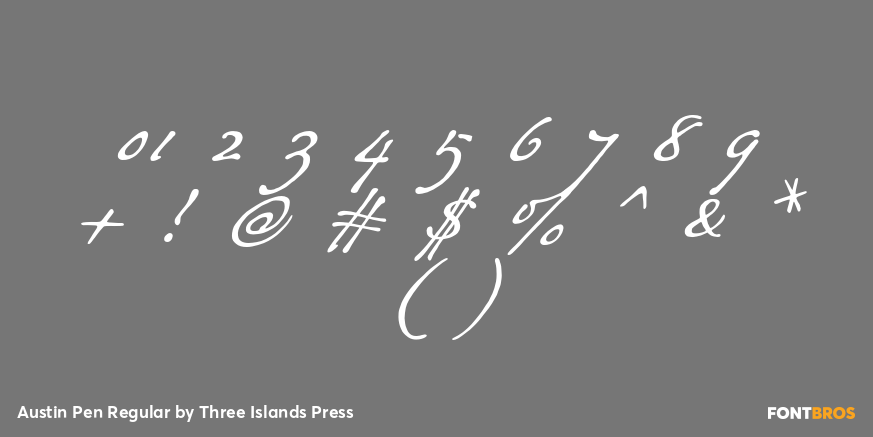 Austin Pen Regular Font Poster #4