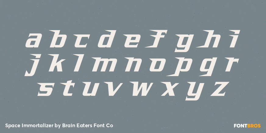 Space Immortalizer Font Poster #3