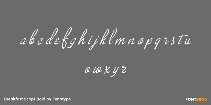 Breakfast Script Bold Font Poster #3