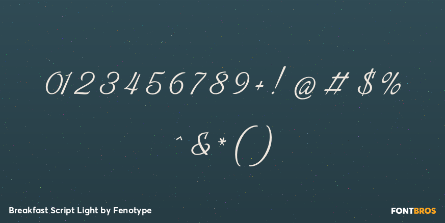 Breakfast Script Light Font Poster #4