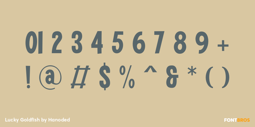 Lucky Goldfish Font Poster #4