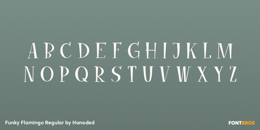 Funky Flamingo Regular Font Poster #2