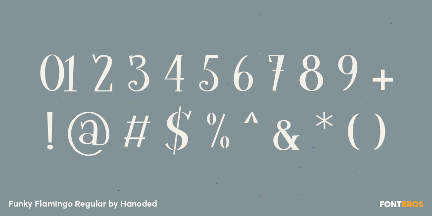 Funky Flamingo Regular Font Poster #4