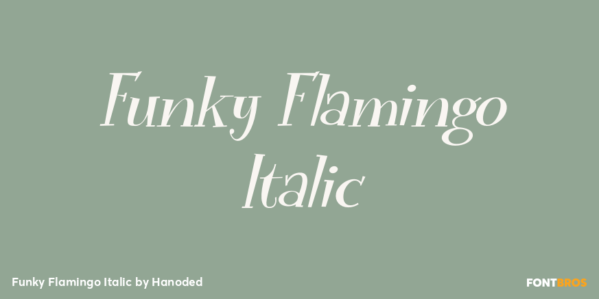 Funky Flamingo Italic Font Poster #1
