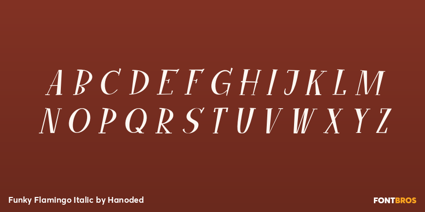 Funky Flamingo Italic Font Poster #2