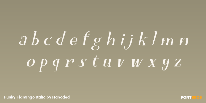 Funky Flamingo Italic Font Poster #3