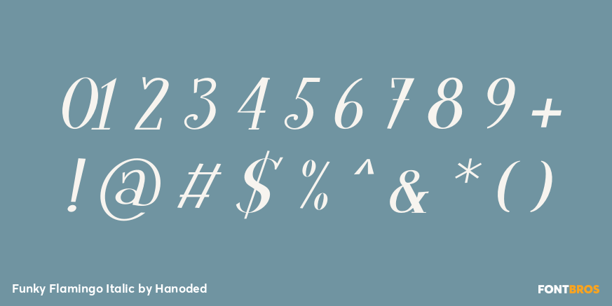 Funky Flamingo Italic Font Poster #4