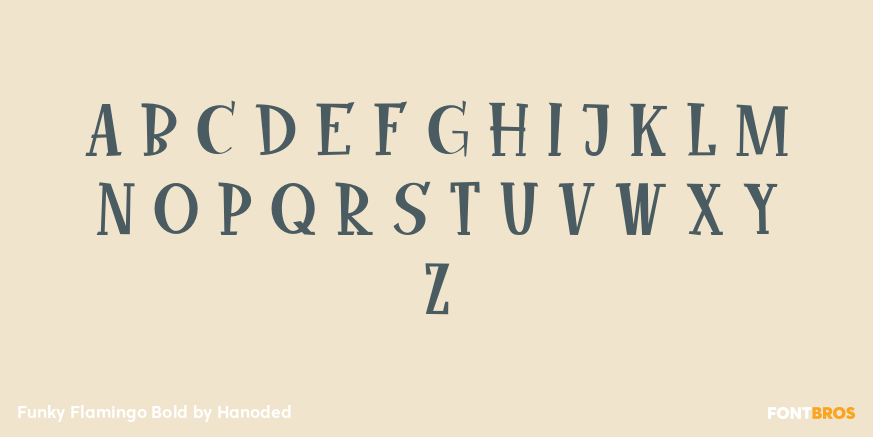 Funky Flamingo Bold Font Poster #2