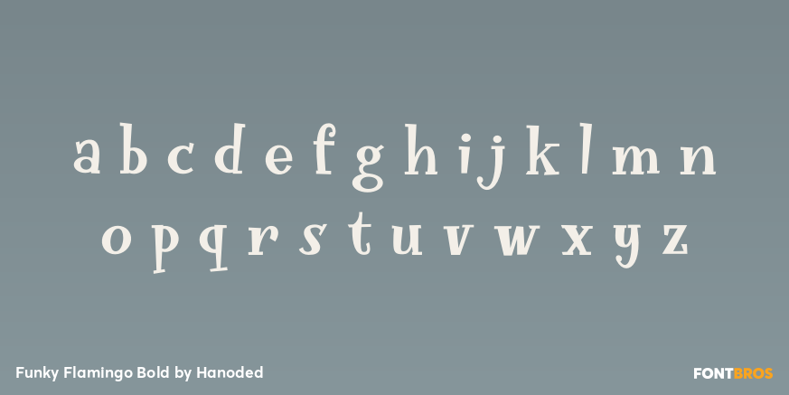 Funky Flamingo Bold Font Poster #3