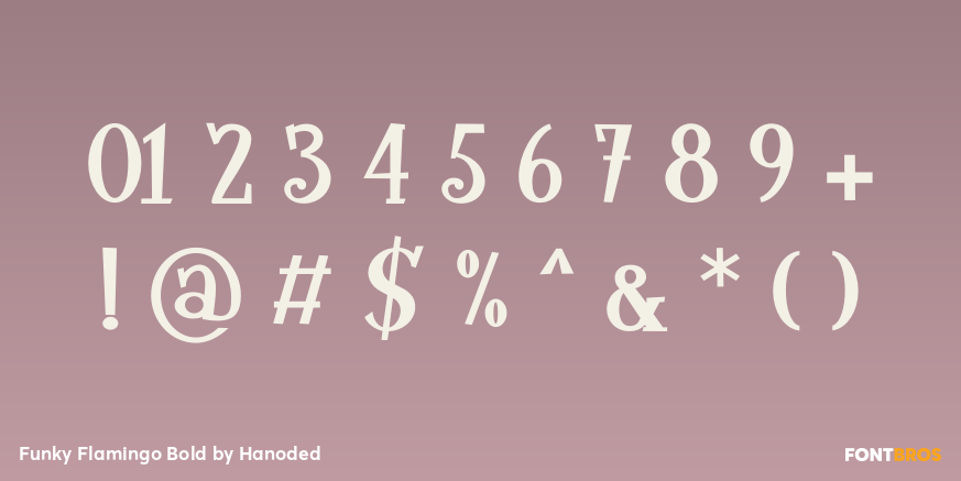 Funky Flamingo Bold Font Poster #4