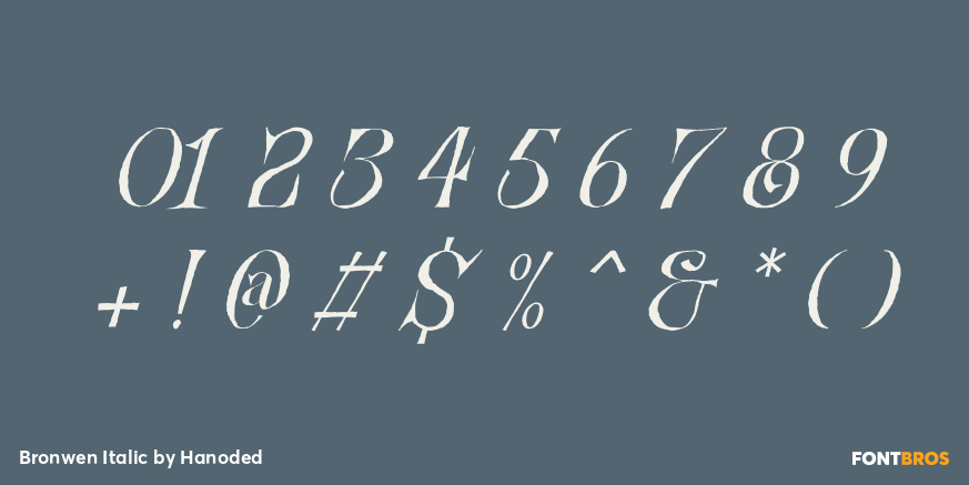 Bronwen Italic Font Poster #4
