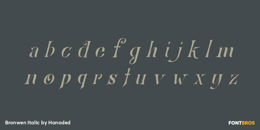 Bronwen Italic Font Poster #3