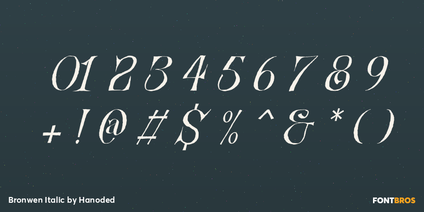 Bronwen Italic Font Poster #4