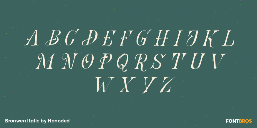 Bronwen Italic Font Poster #2